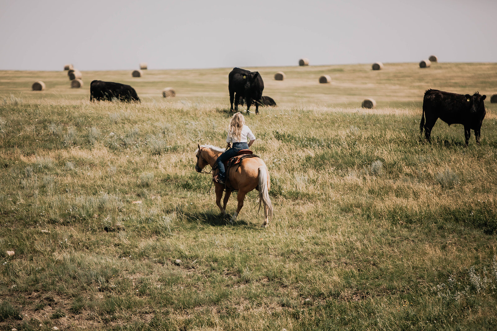 Riding horseback through cattle on the ranch