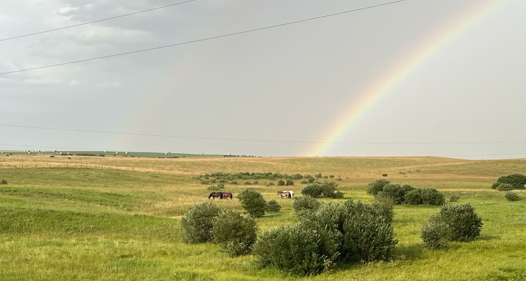 Rainbow over the ranch fields