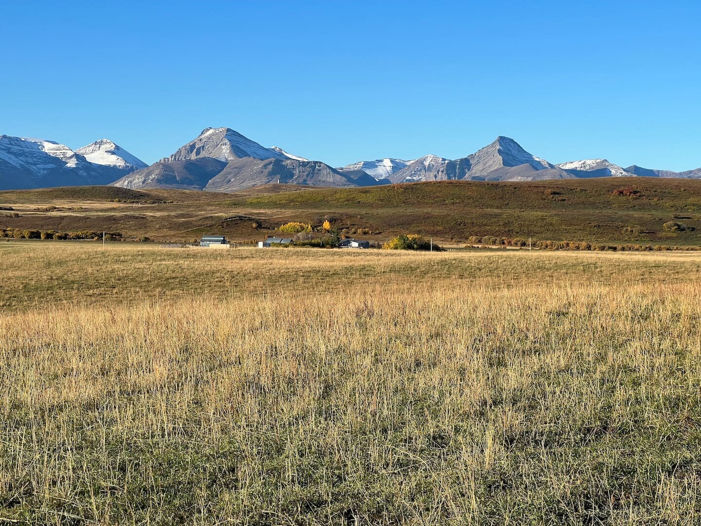 The Rocky Mountains rising beyond the fields at Farm Creek Cabins